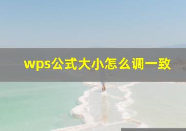 wps公式大小怎么调一致