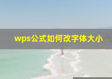 wps公式如何改字体大小