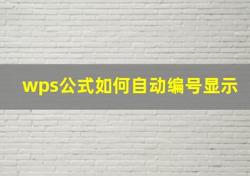 wps公式如何自动编号显示