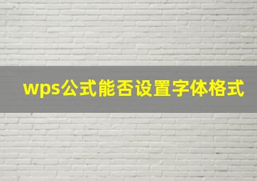 wps公式能否设置字体格式