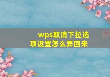 wps取消下拉选项设置怎么弄回来