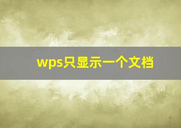 wps只显示一个文档