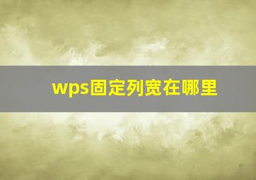 wps固定列宽在哪里