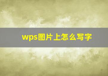 wps图片上怎么写字