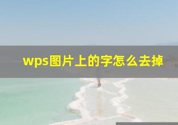 wps图片上的字怎么去掉