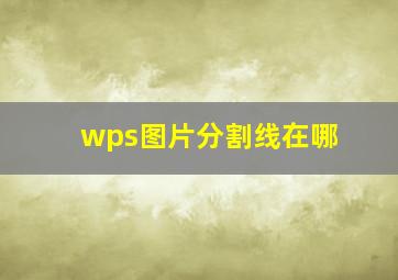 wps图片分割线在哪