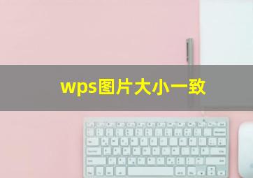 wps图片大小一致