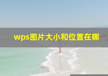 wps图片大小和位置在哪