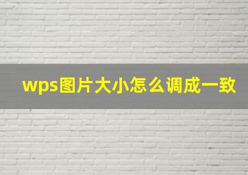 wps图片大小怎么调成一致