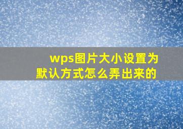 wps图片大小设置为默认方式怎么弄出来的