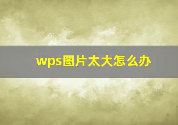 wps图片太大怎么办