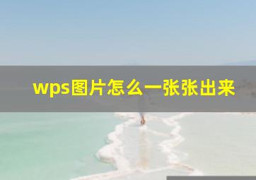 wps图片怎么一张张出来