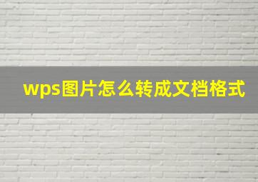 wps图片怎么转成文档格式