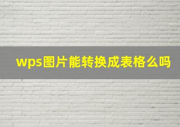 wps图片能转换成表格么吗