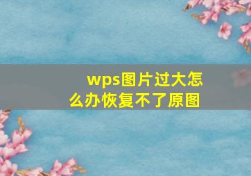 wps图片过大怎么办恢复不了原图