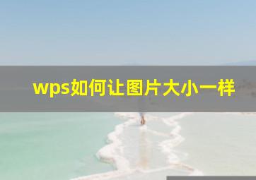 wps如何让图片大小一样