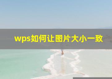 wps如何让图片大小一致