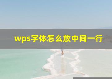 wps字体怎么放中间一行