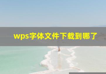 wps字体文件下载到哪了