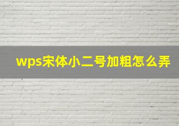 wps宋体小二号加粗怎么弄