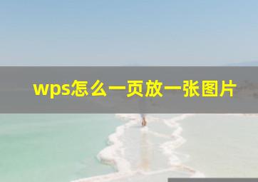 wps怎么一页放一张图片