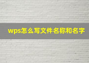 wps怎么写文件名称和名字