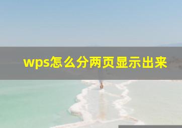 wps怎么分两页显示出来