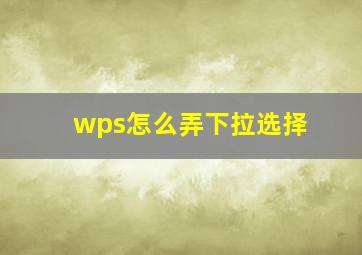 wps怎么弄下拉选择