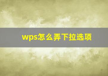 wps怎么弄下拉选项