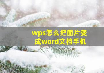 wps怎么把图片变成word文档手机