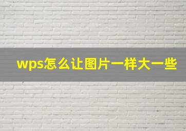 wps怎么让图片一样大一些