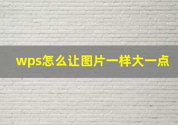 wps怎么让图片一样大一点