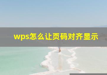 wps怎么让页码对齐显示