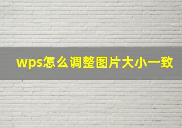 wps怎么调整图片大小一致