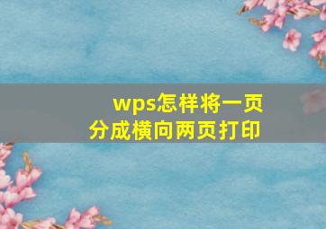 wps怎样将一页分成横向两页打印