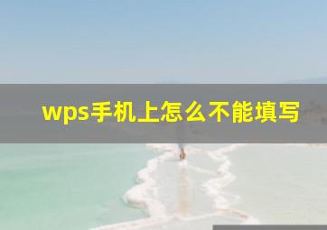 wps手机上怎么不能填写