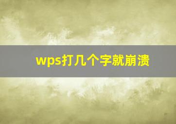 wps打几个字就崩溃