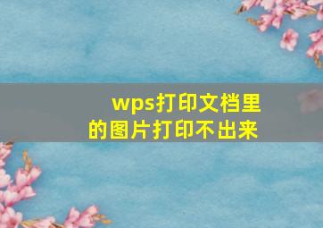 wps打印文档里的图片打印不出来