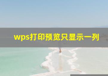 wps打印预览只显示一列