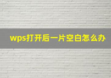 wps打开后一片空白怎么办