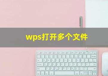 wps打开多个文件