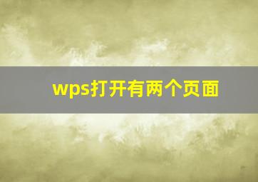 wps打开有两个页面