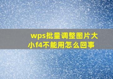 wps批量调整图片大小f4不能用怎么回事