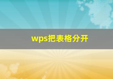 wps把表格分开