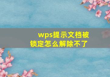 wps提示文档被锁定怎么解除不了