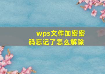 wps文件加密密码忘记了怎么解除