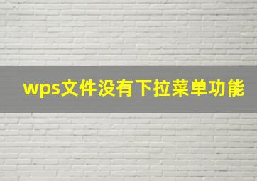 wps文件没有下拉菜单功能