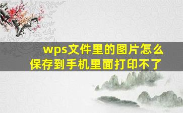 wps文件里的图片怎么保存到手机里面打印不了