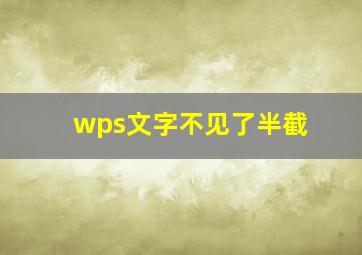 wps文字不见了半截