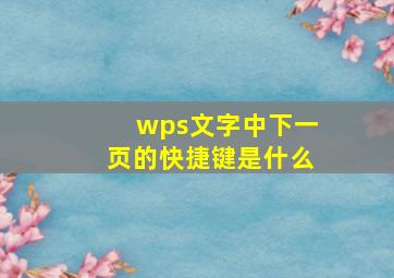 wps文字中下一页的快捷键是什么